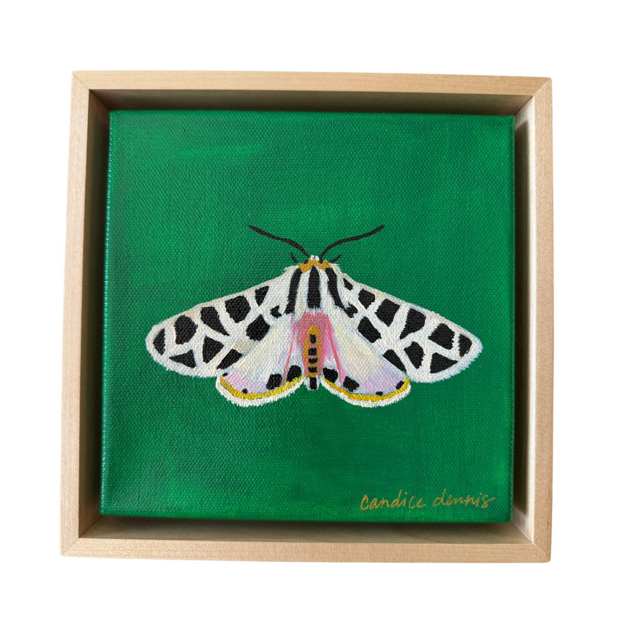 Garden Tiger Moth Original Acrylic Painting | Small Framed Wall Art
